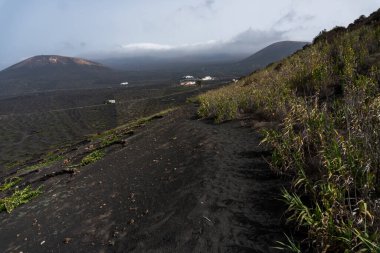 Geria manzarası, sisli bir günde Lanzarote 'un en karakteristik ve eşsiz tarım manzaralarından biri.