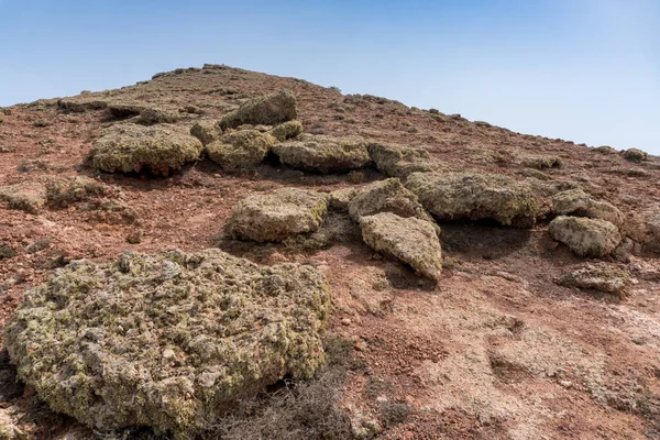 Geria manzarası, sisli bir günde Lanzarote 'un en karakteristik ve eşsiz tarım manzaralarından biri.