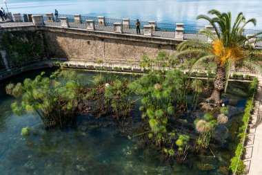 Syracuse, İtalya-9 Mayıs 2022: Güneşli bir günde Ortigia 'daki Fonte Aretusa' nın görüntüsü