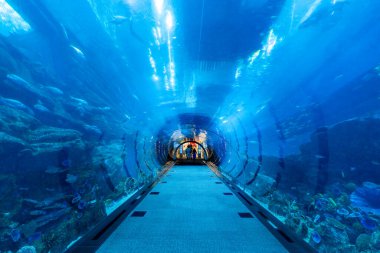 Dubai, Birleşik Arap Emirlikleri - 12 Mart 2023: İnsanlar ünlü Dubai alışveriş merkezinin içindeki ünlü akvaryuma hayran