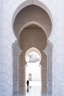 Abu Dabi, Birleşik Arap Emirlikleri - 15 Mart 2023: Güneşli bir günde Şeyh Zayed Büyük Camii 'nin manzarası