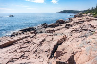 Walking through the forest and coast of Acadia national park in Maine on a sunny day clipart