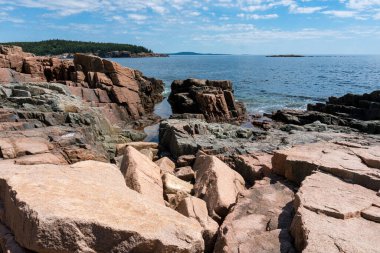 Walking through the forest and coast of Acadia national park in Maine on a sunny day clipart