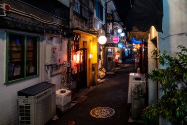 Tokyo, Japonya-Ağustos 5, 2024: Tokyo 'nun Shinjuku bölgesinde gece vakti küçük bir ara sokakta renkli işaretler