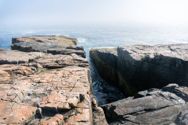 Walking through the forest and coast of Acadia national park in Maine on a sunny day clipart