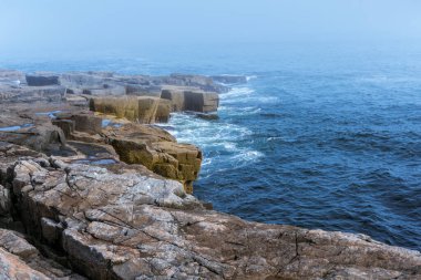 Güneşli bir günde Maine 'deki Acadia Ulusal Parkı' nda ve ormanında yürümek