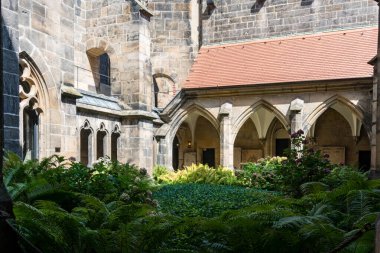 Meissen, Almanya-Ağustos 17, 2022: Güneşli bir günde Meissen Katedrali 'nin iç manastırındaki bahçe