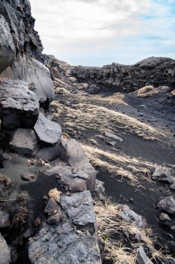 bulutlu bir günde İzlanda topraklarında kayaların, kuru çimenlerin ve siyah kumların dikey fotoğrafı