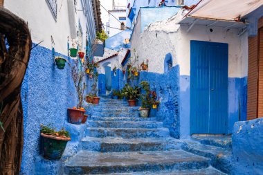 Chefchaouen, Morocco -march 26, 2024:pots with flowers and plants on the steps of a staircase in the blue city of Chefchaouen in Morocco during a cloudy day