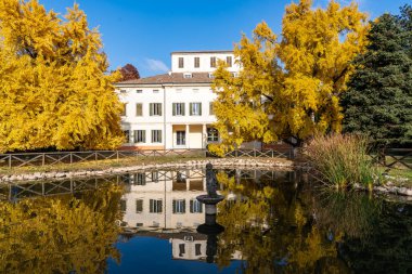 Formigine, Italy-October 1, 2021:beautiful Ginko bilobas with yellow leaves in front of Villa Gandini in Formigine on a sunny autumn day.