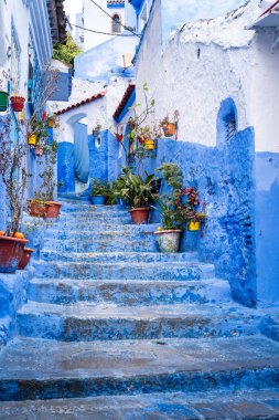 Tangier, Morocco -march 26, 2024:vertical photograph of pots with plants on the steps of a staircase in the blue city of Chefchaouen in Morocco during a cloudy day