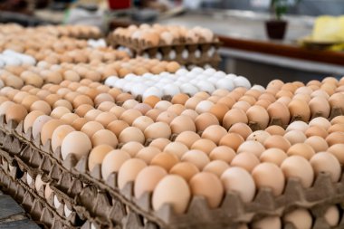 Samarkand, Uzbekistan-august 13, 2023:eggs on display the Siyob Bazaar in Samarkand on a sunny day