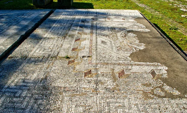 Domus Roman Mozaiki Ruinach Archeologicznych Conimbriga Portugalia — Zdjęcie stockowe