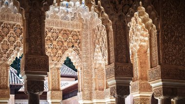 Granada, İspanya 'daki Alhambra saraylarının heykel ve mimari detayları