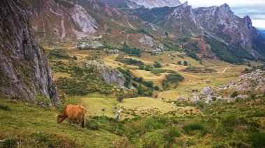 Hiking through the Somiedo natural park in Asturias, alongside its lakes, Spain clipart