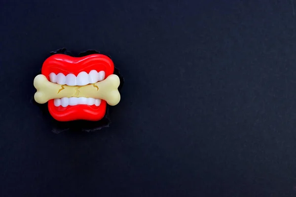 Białe Plastikowe Zęby Trzymające Kość Czarnym Papierowym Tle Minimalna Koncepcja — Zdjęcie stockowe