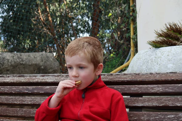 머리에 금발의 아이가 쿠키를 먹습니다 집중력있는 소년입니다 — 스톡 사진