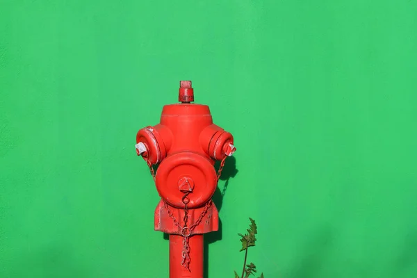 Fire Hydrant Green Wall Background — Stock Photo, Image
