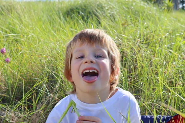 Блондинка Посміхається Показує Язик Веселий Ятирічний Хлопчик Полі Зеленою Травою — стокове фото