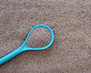 Psyllium arka planında mavi kaşıkta psilyum tohumları.