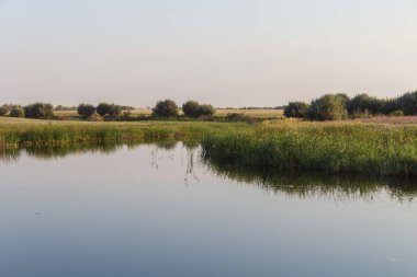 Batı Kazakistan bölgesindeki Derkul Nehri. Sabahları sakin bir nehir. Kazakistan 'ın güzel doğası.