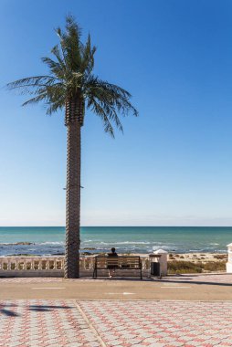 Aktau şehrindeki Hazar Denizi 'nin setinde yapay bir palmiye ağacı. Kız bir bankta dinleniyor ve denize hayran..