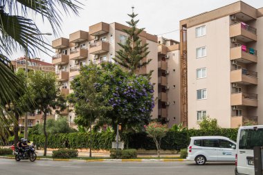 Türkiye (Türkiye), Alanya, 11.09.2023: Alanya sokaklarında çiçek açan ağaçlar. Türkiye 'ye seyahat.