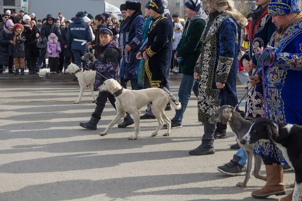 Uralsk (Oral), Kazakistan, 22.03.2024 - Kazakistan 'da Nauryz tatili. Ulusal Kazak kostümlü insanlar ve Kazak köpekleri Nauryz bayramında Tazy 'yi çiftleştiriyor..