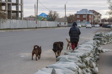 Uralsk, Oral, Kazakistan (Kazakistan), 13.04.2024 - Kentte sel baskınına karşı kum torbası bariyeri. Bankaları sellere karşı güçlendiriyor. Köpekleri olan bir kadın, çantadan yapılmış bir bankada yürüyor..