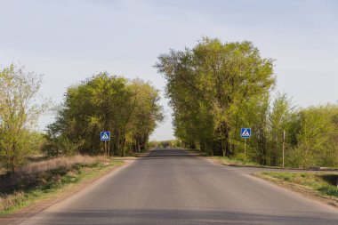 Kazakistan yolları. Ağaçların arasında yol. Neredeyse hiç insan olmayan bir yolda yaya geçidi işaretleri. Kenarlarında ağaçlar olan yol..
