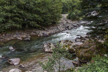 Beautiful landscapes of Adjara. Mountain river Machakhela. Georgia. Travel to Georgia. clipart