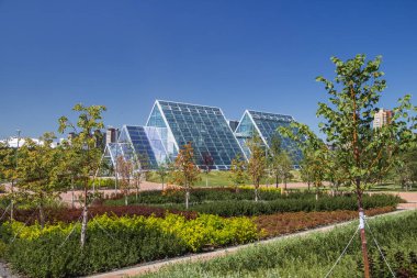 Astana botanik bahçesindeki piramitler şeklinde modern cam seralar. Burada çeşitli bitkiler yetiştiriyorlar, sert iklimde bile rahat koşullar yaratıyorlar. Etrafta bir sürü ağaç ve çalı var..