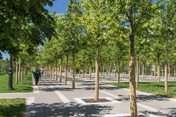 Astana, Kazakistan (Kazakistan), 21 jule 2025 - Astana 'daki Ulytau Geçidi' ne genç ağaçlar dikildi. Modern peyzaj, yaya yolları ve güneşli bir yaz gününde bakımlı şehir manzarası..