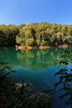 Volkanik Eacham Gölü, Yidyam ya da Wiinggina 'nın güneydoğusundaki küçük bir körfez, çevresindeki yağmur ormanları bitkisini yansıtan mutlak sakin sulara ev sahipliği yapar. Atherton Masa Diyarı-Queensland-Avustralya