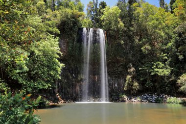 Millaa Milla Falls formed by Theresa Creek plunging into a pool. Queensland-Australia-291 clipart