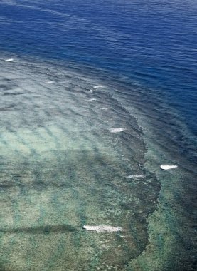 Hastings Resifi 'nin havalimanı, Cairns' in yaklaşık 45 km kuzeydoğusunda yer alan Mercan Denizi 'ndeki Büyük Set Resifi' nin Arlington Resifi kompleksinin hemen kuzeyindeki sığ suların altında. Queensland-Avustralya.