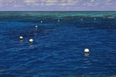 Buoy line limiting the area safe for swimming and snorkeling on the coral reef surrounding Green Island on the Great Barrier-background of waves breaking against the reef. Cairns-Queensland-Australia.