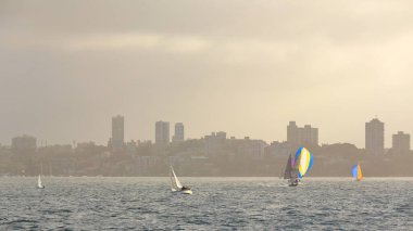 Bir grup yarış yelkenlisi sisli bir öğleden sonra Double Bay sularında yelken açarken ön planda cephede evler ve arka planda tepelerde gökdelenler var. Sydney Limanı-NSW-Avustralya.