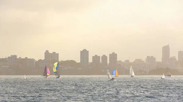 Group of racing sailboats sailing the waters of Double Bay in a hazy afternoon with the skyscrapers of the CBD -right- and Darlinghurst suburb -left- in the background. Sydney Harbour-NSW-Australia.