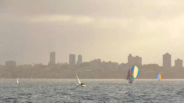 Group of racing sailboats sailing the waters of Double Bay on a hazy afternoon with frontwater housing in the foreground and skyscrapers on the hilltop in the background. Sydney Harbour-NSW-Australia.