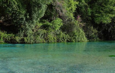 Mavi Göz 'ün aşağısındaki Bistrica Nehri' nin yeşil-mavi suları - Suriye Kaleri - su kaynağı, Sarande 'nin güneyindeki İyon Denizi' nde son bulacak olan akarsuyun ana kaynağı. Arnavutluk 'un Muzine-Finiq-Vlore ilçesi.