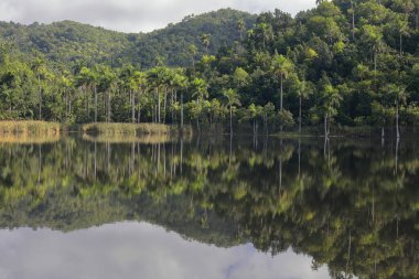 El Palmar Gölü 'nün üzerindeki tekne iskelesinden Las Delicias Dağı' na, Las Terrazas kırsal ekoloji topluluğu Sierra del Rosario Biyosfer Reserve 'e kadar doğuya doğru. Candelaria-Artemisa bölgesi-Küba.