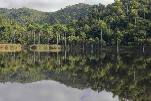 El Palmar Gölü 'nün üzerindeki tekne iskelesinden Las Delicias Dağı' na, Las Terrazas kırsal ekoloji topluluğu Sierra del Rosario Biyosfer Reserve 'e kadar doğuya doğru. Candelaria-Artemisa bölgesi-Küba.