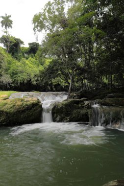 Cascade in the Banos del Rio San Juan Baths area, Las Terrazas sustainable tourist complex, formed by rocky natural terraces through which the water runs causing a series of pools. Artemisa prov.-Cuba clipart