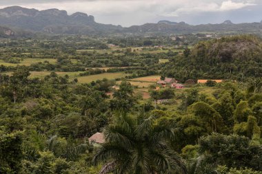Southeast-to-northwest view of the Vinales Valley from the outlook on the 241 road overlooking the hillfaces on the karstic geomorphological formations called mogotes. Pinar del Rio province-Cuba. clipart