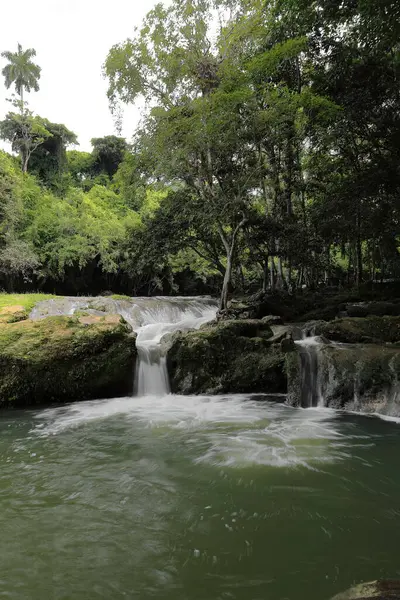 stock image Cascade in the Banos del Rio San Juan Baths area, Las Terrazas sustainable tourist complex, formed by rocky natural terraces through which the water runs causing a series of pools. Artemisa prov.-Cuba