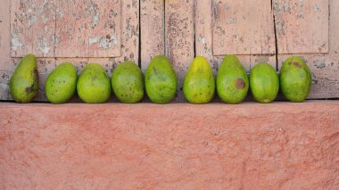 Yeşil avokadolar, Catalina cinsi. Plaza Belediye Başkanı Meydanı 'nda satılmak üzere açık pembe, boyalı, kapalı ahşap panjurlu bir pencerenin somon turuncu kenarına dizilmiş. Trinidad-Küba.
