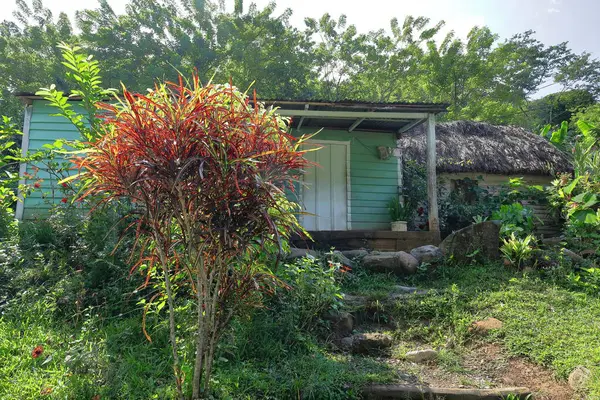 stock image S.Domingo-Granma, Cuba-October 18, 2019: Bohios -huts- of the Sierra Maestra Range coffee farmers made of overlapping wooden clapboards traditionally thatch-roofed -right-, now with sheet metal -left-