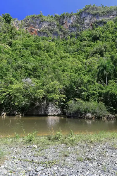 stock image Karstic wall on the north, right side of the 200 m high Rio Yumuri River canyon downstream and next to Isla Almendras Island near the mouth, rocky cliff covered in tropical rainforest. Baracoa-Cuba.