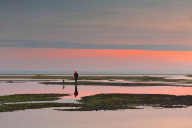 Colorful sunrise over the pres-sales or salt marsh meadows to the southeast of Le Mont-Saint-Michel abbey, landscape photographer standing on the flatlands flooded by the high tide reflecting the sky. clipart